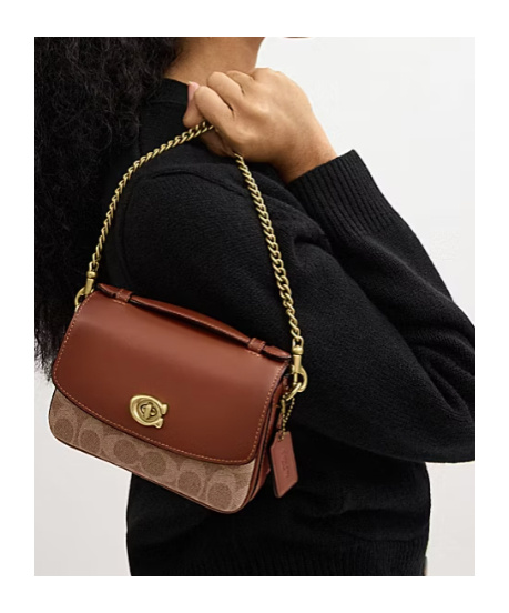 Coach Cassie Crossbody Bag 17 In Signature Canvas In Brown