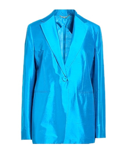 Max Mara Minimalist Blazer In Blue