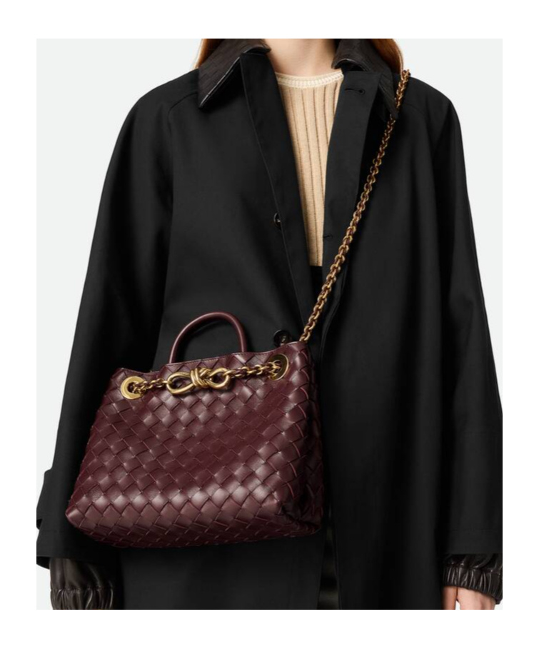 Bottega Veneta Small Andiamo Chain In Brown