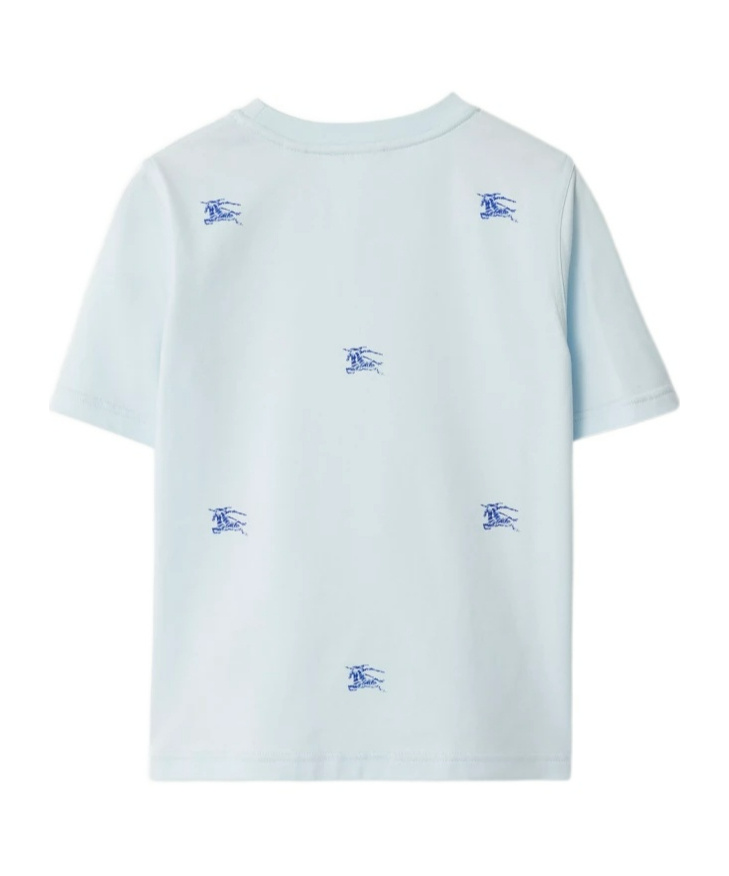 Burberry Ekd Crew-neck T-shirt In White