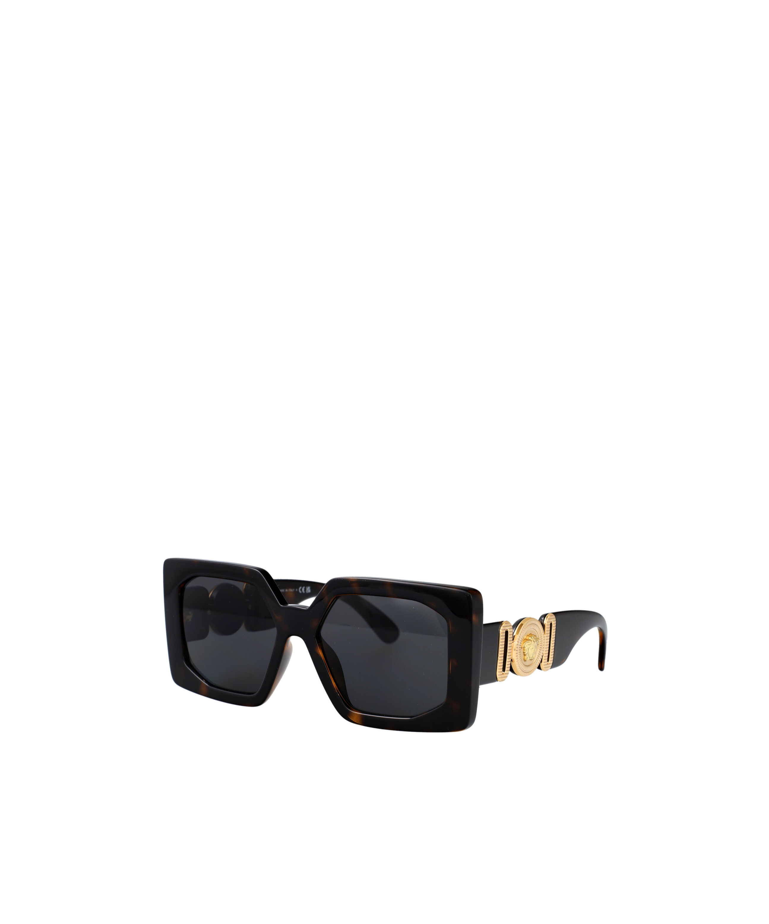 Versace Medusa Biggie Sunglasses In Black