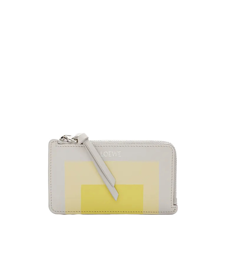 Loewe Card Holder With Coin Purse Small Leather Goods White In Gray