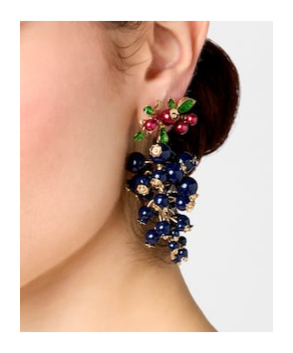 Roger Vivier Earrings