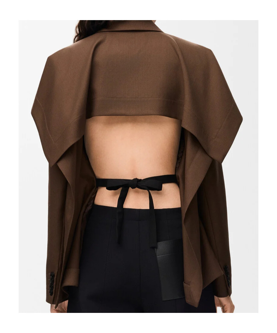 Loewe Jacket In Wool In Brown