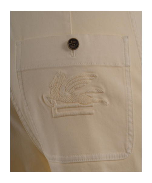 Etro Belt Loop Casual Pants In Brown