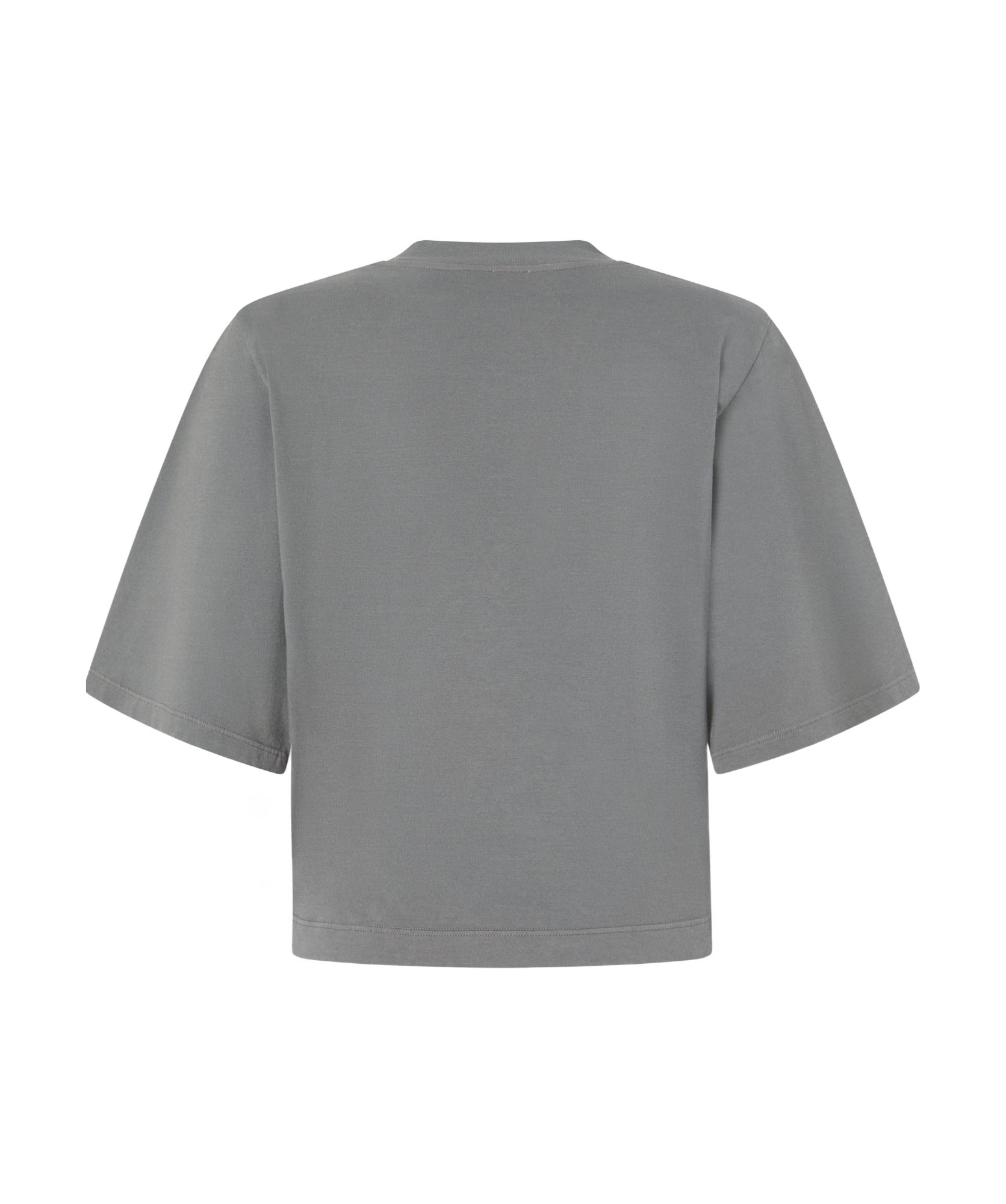 Shop Pinko Adventure T-shirt In Gray