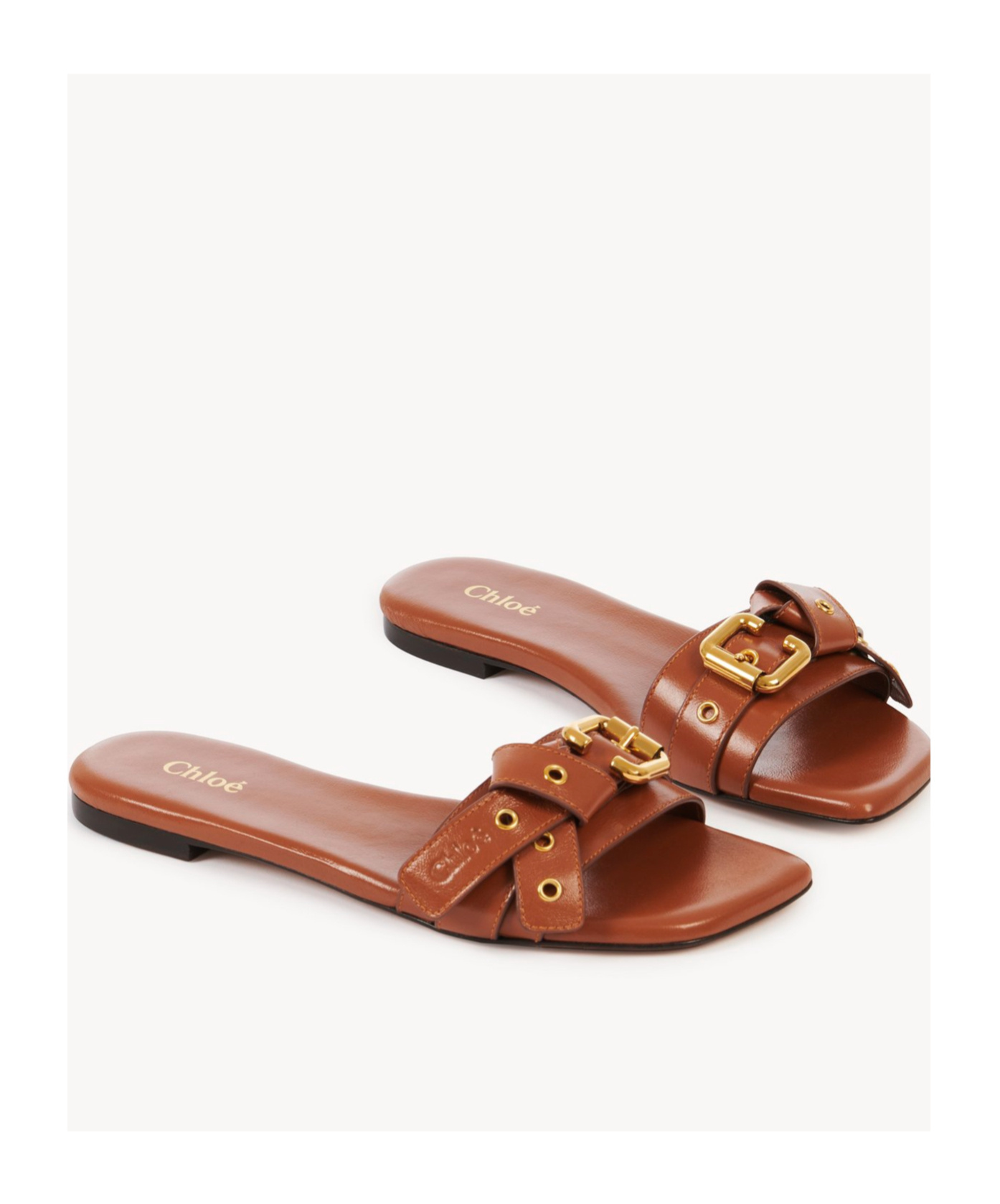 Chloé Mae Leather Buckle Flat Slide Sandals In Brown