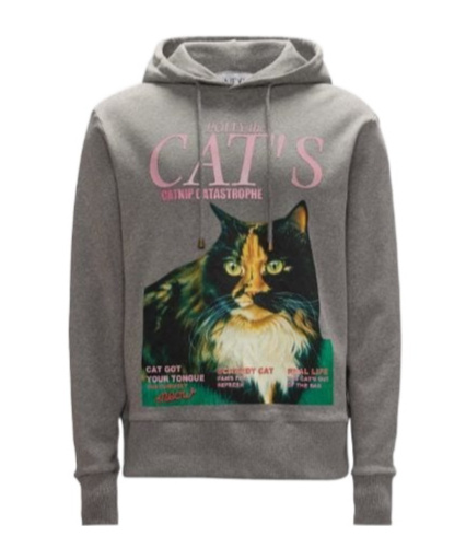 Jw Anderson Cat Print Hoodie Mid Grey Melange In Gray