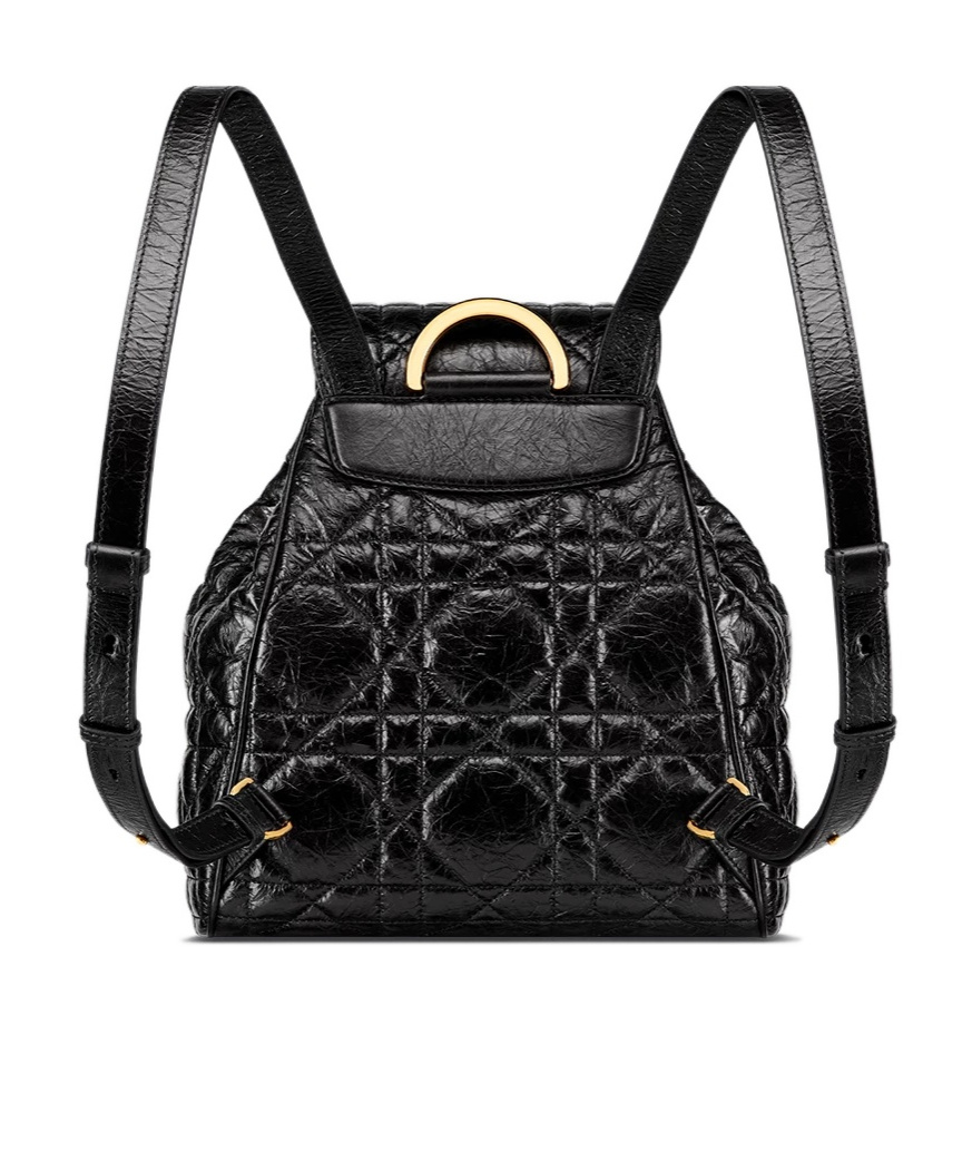 Dior Caro Medium Backpack In Black