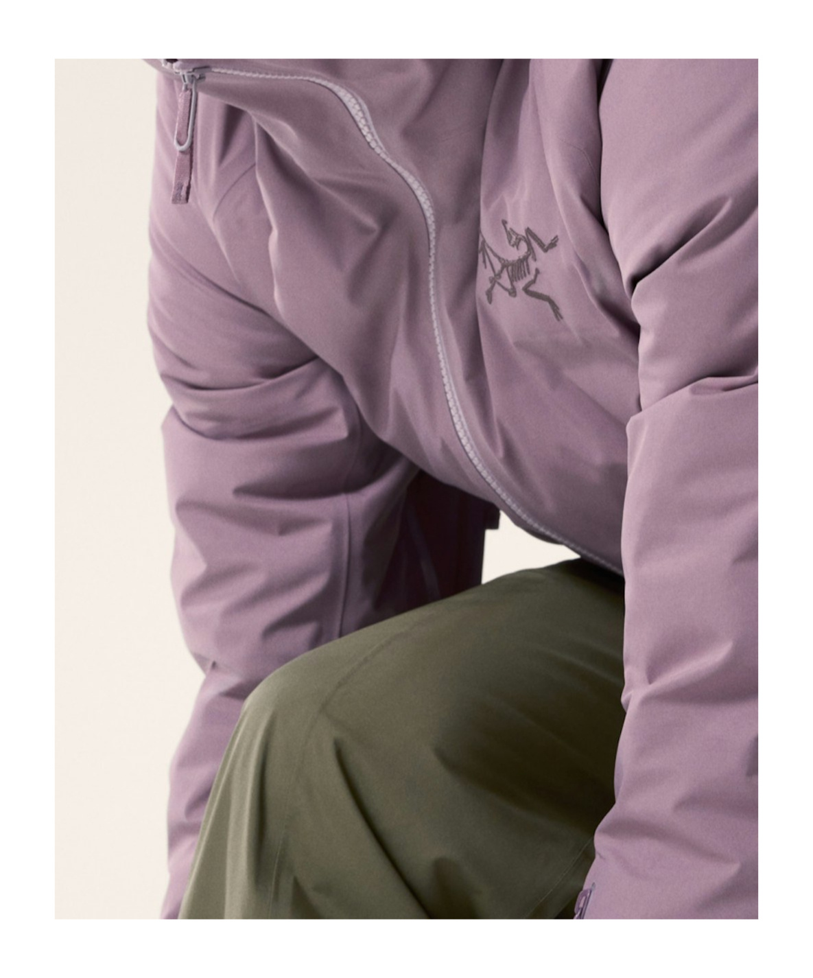 Arc'teryx Fisail Gore-tex Down Jacket In Interstellar