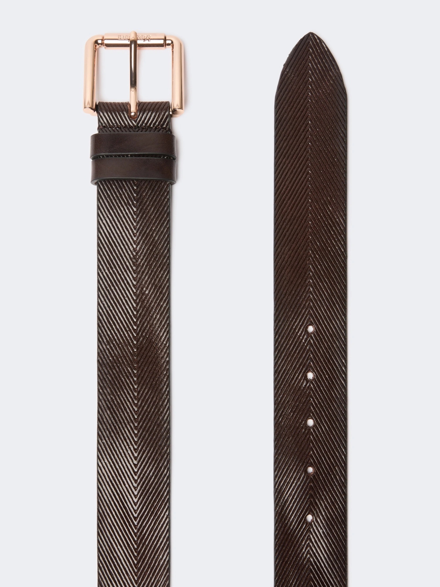 Max Mara Double Ring Belt In Dark Brown