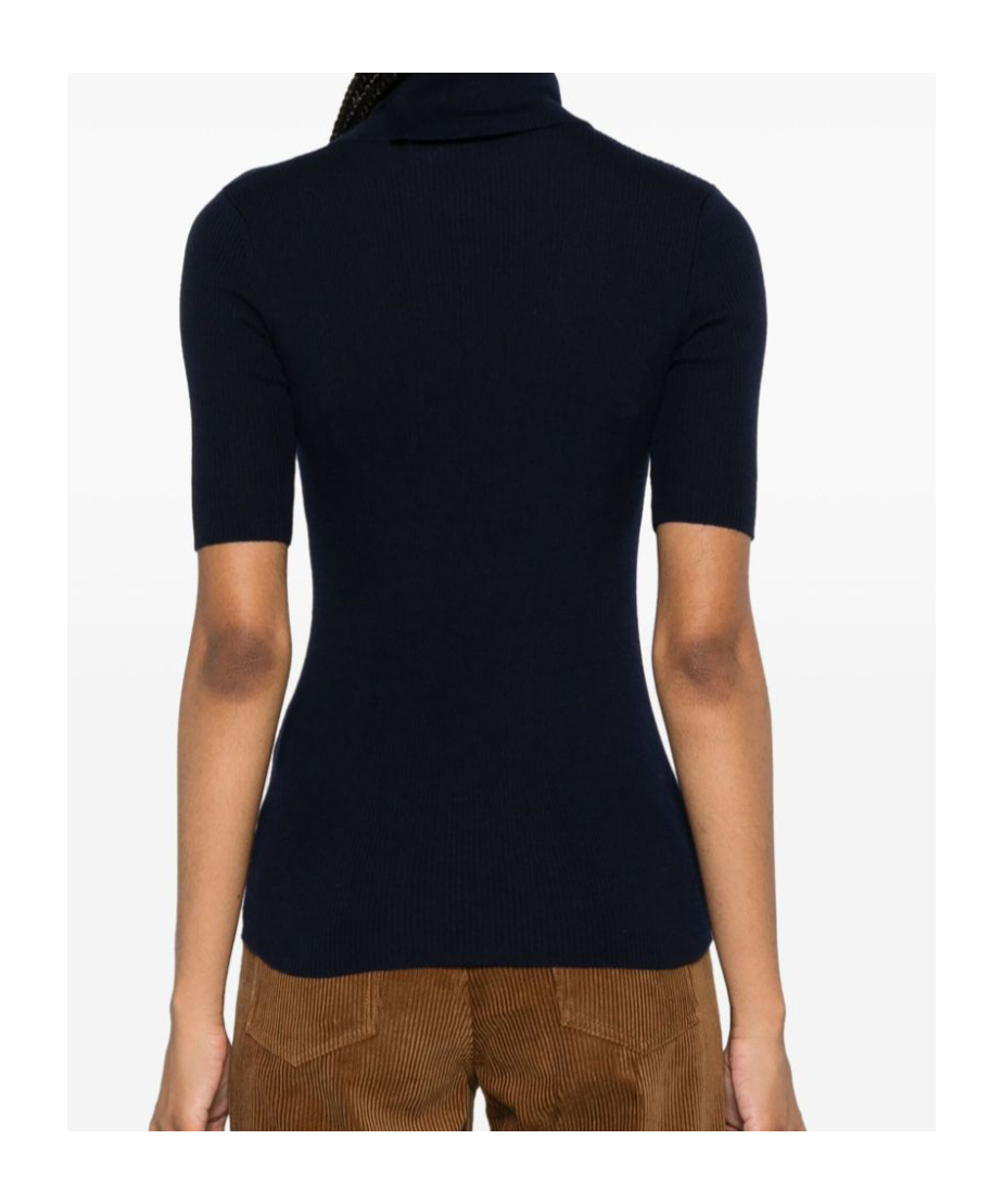 P.a.r.o.s.h Leila Turtleneck Wool Knit Top In Black