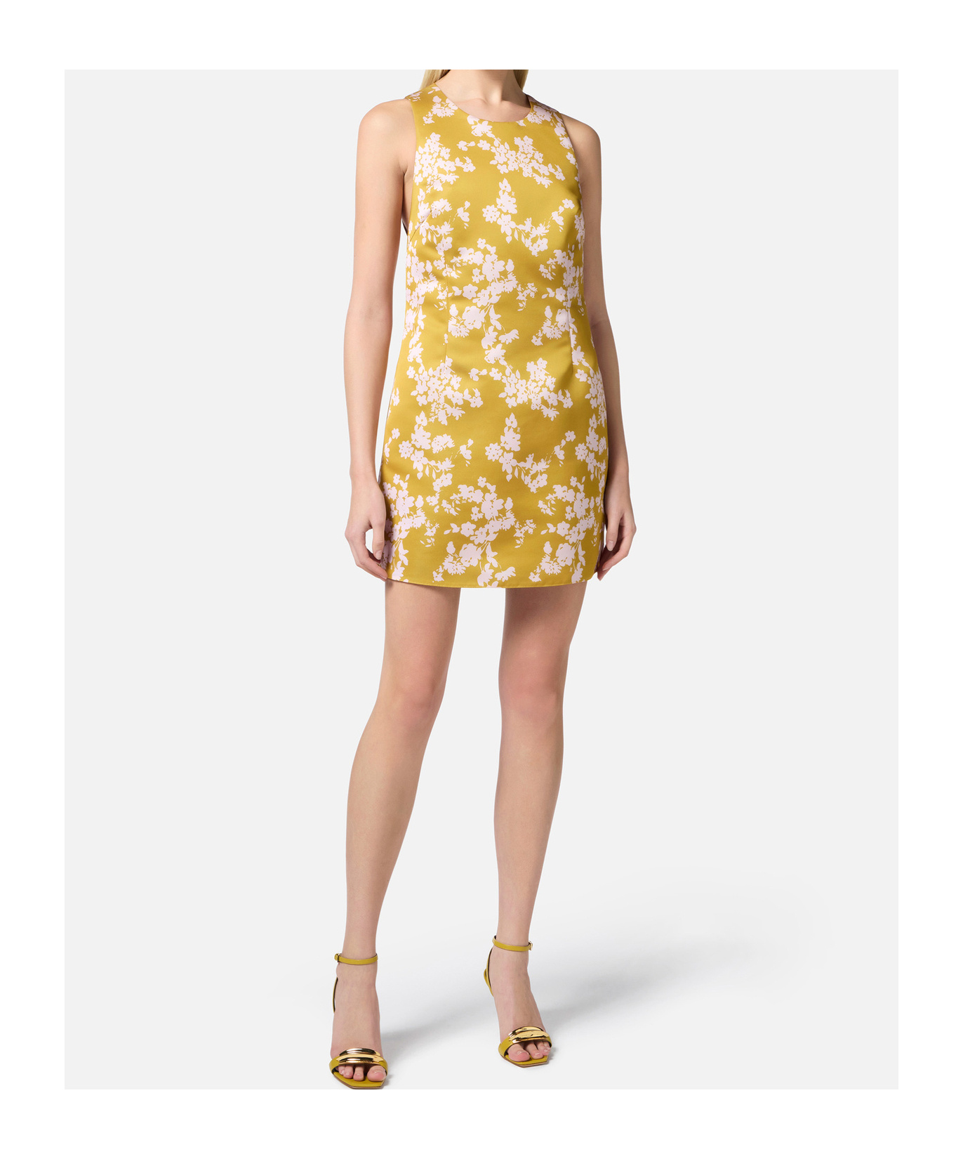 Elisabetta Franchi Dress In Yellow
