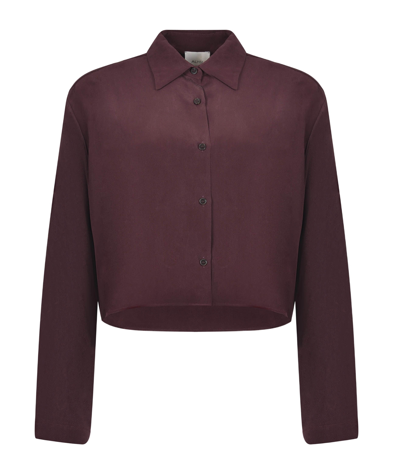 Alysi Pointed Collar Long-sleeved Shirt In Red
