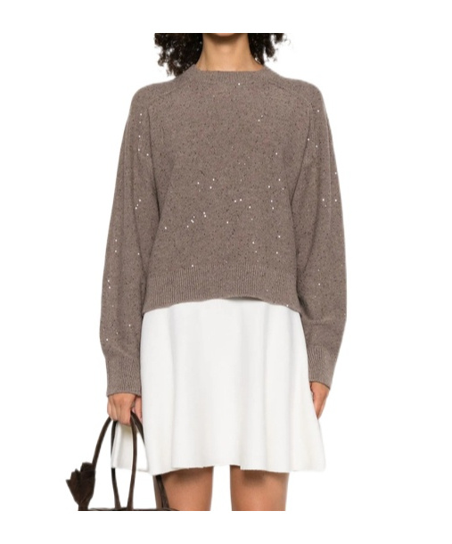 Antonelli Sequin-embellished Crew-neck Sweater In Brown