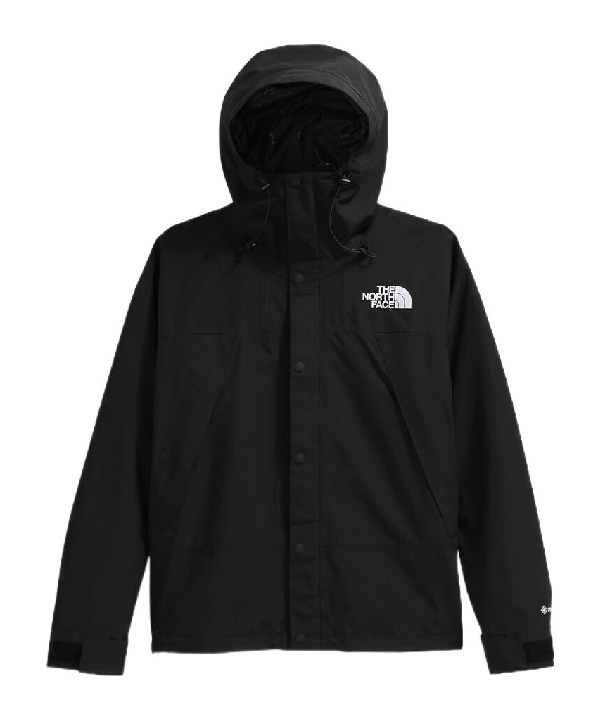 The North Face Gore-tex Mountain Jacket In Blue
