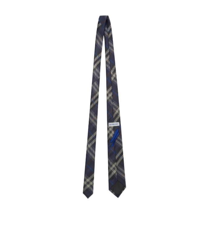 Burberry Checked Pointed-tip Tie In Blue
