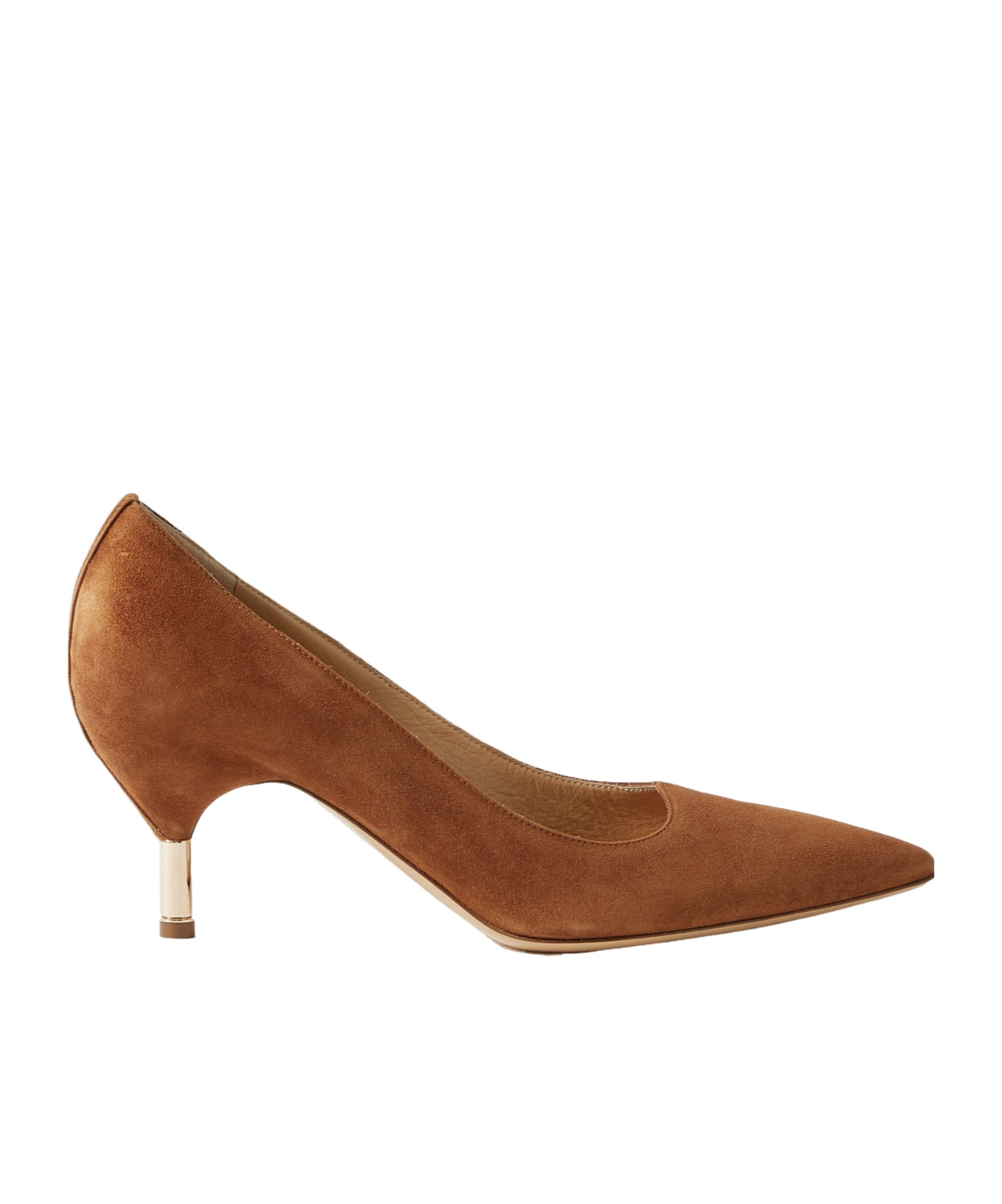Gabriela Hearst Pointed-toe High Heels In Brown