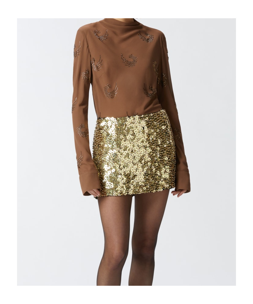 Pinko Rebora Blouse In Brown