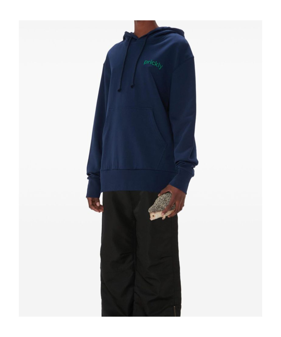 Jw Anderson J.w. Anderson Prickly Slogan-print Hoodie In Blue