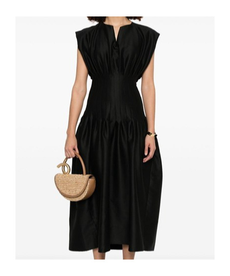 Fabiana Filippi Pleated Maxi Dress In Black