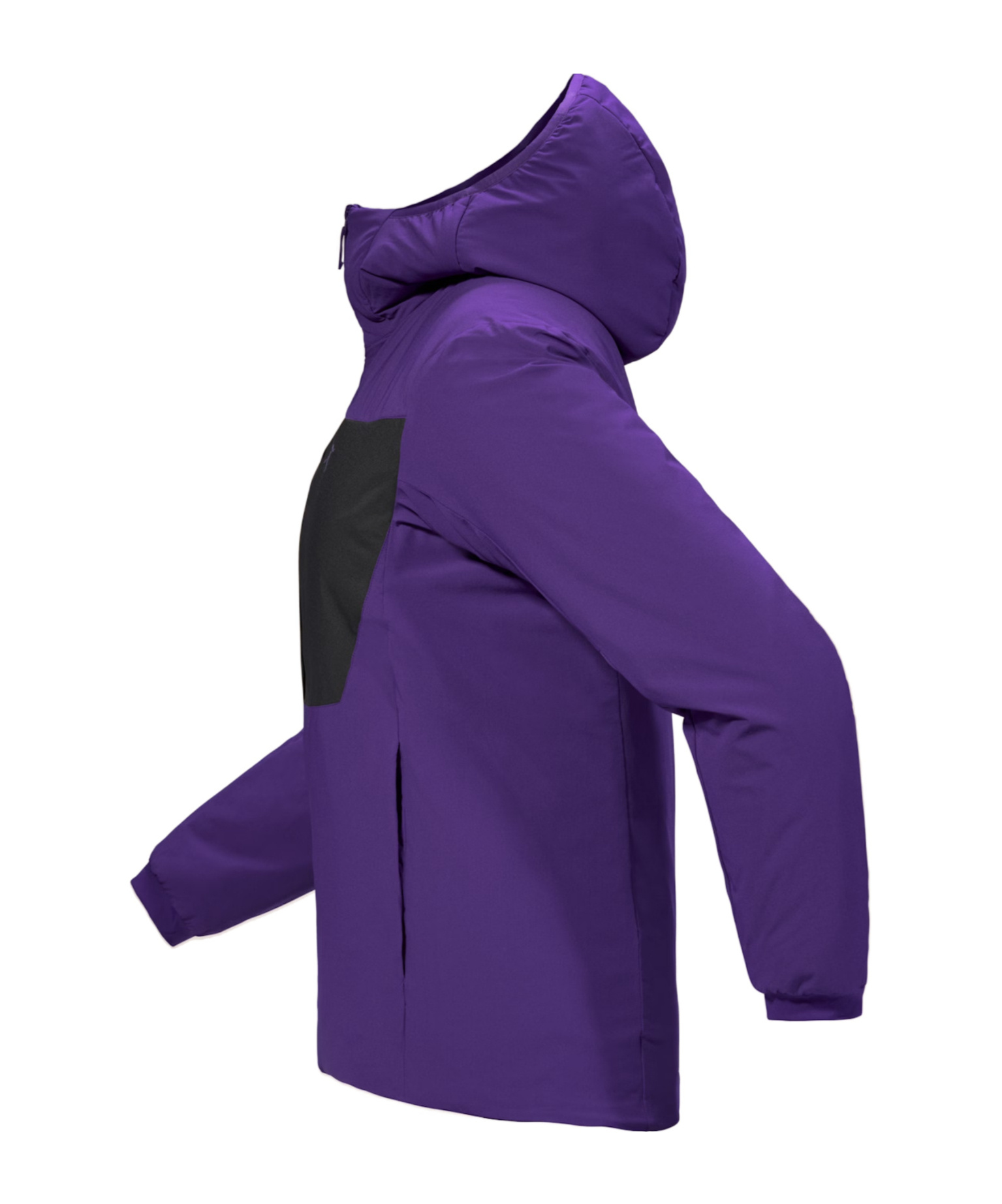 Arc'teryx Proton Heavyweight Hoody Women's In Purple