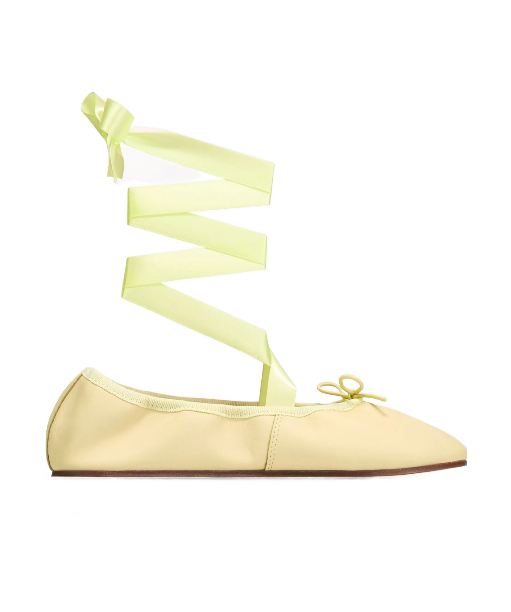 Repetto 10mm Sophia Leather Ballerina Flats In Nude