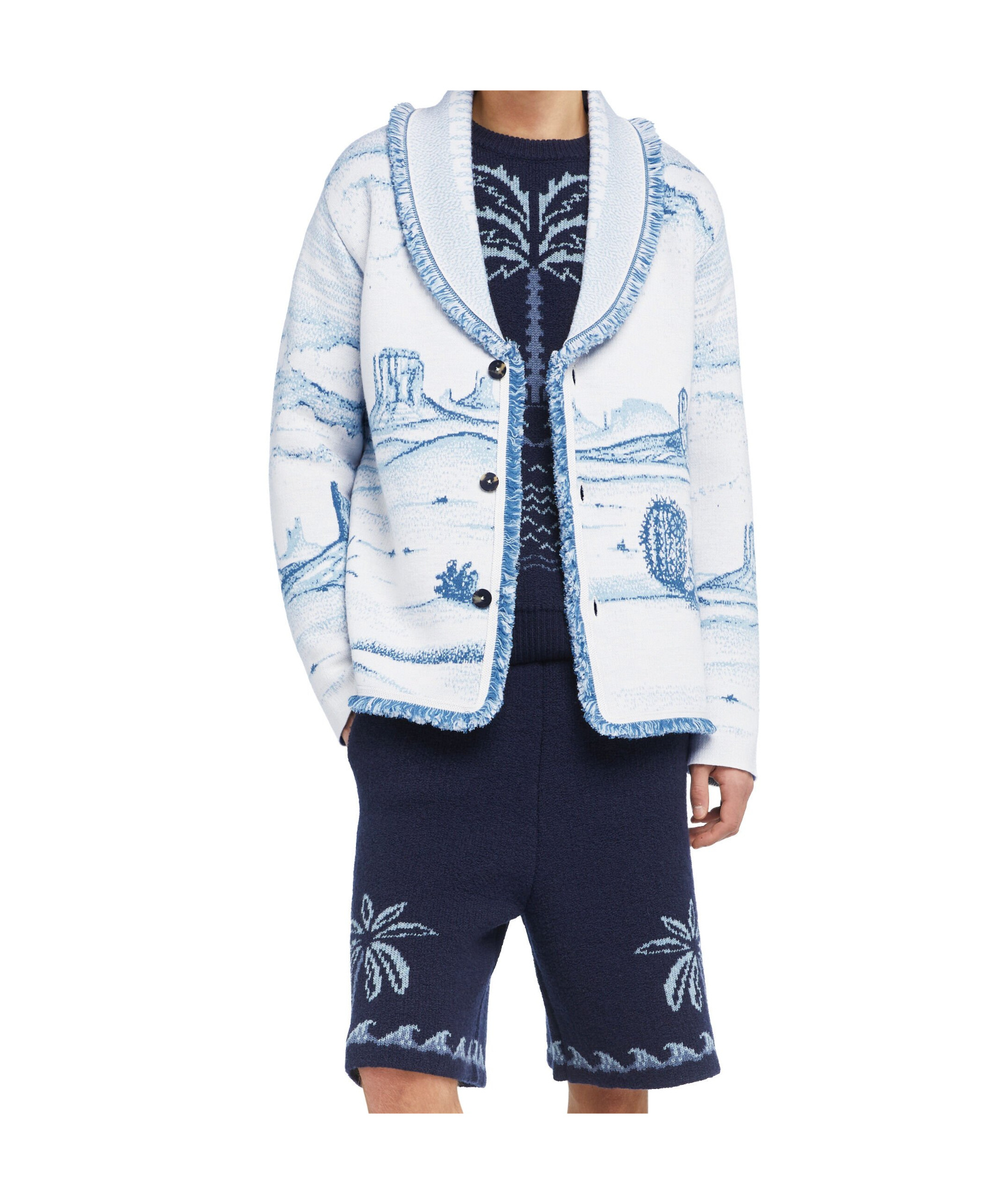 Alanui Silent Rider Landscape-intarsia Fringed Cardigan In Blue