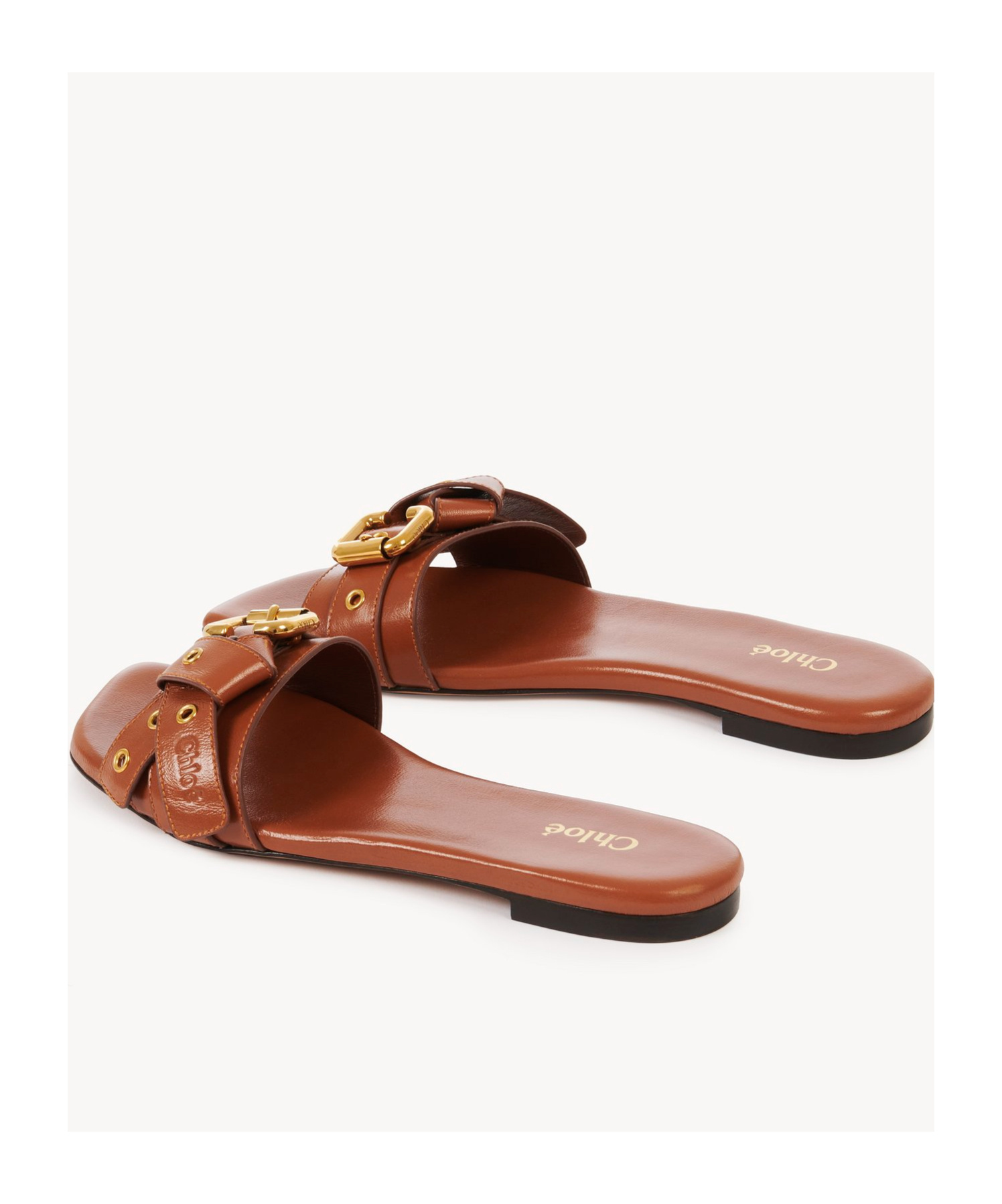 Chloé Mae Leather Buckle Flat Slide Sandals In Brown