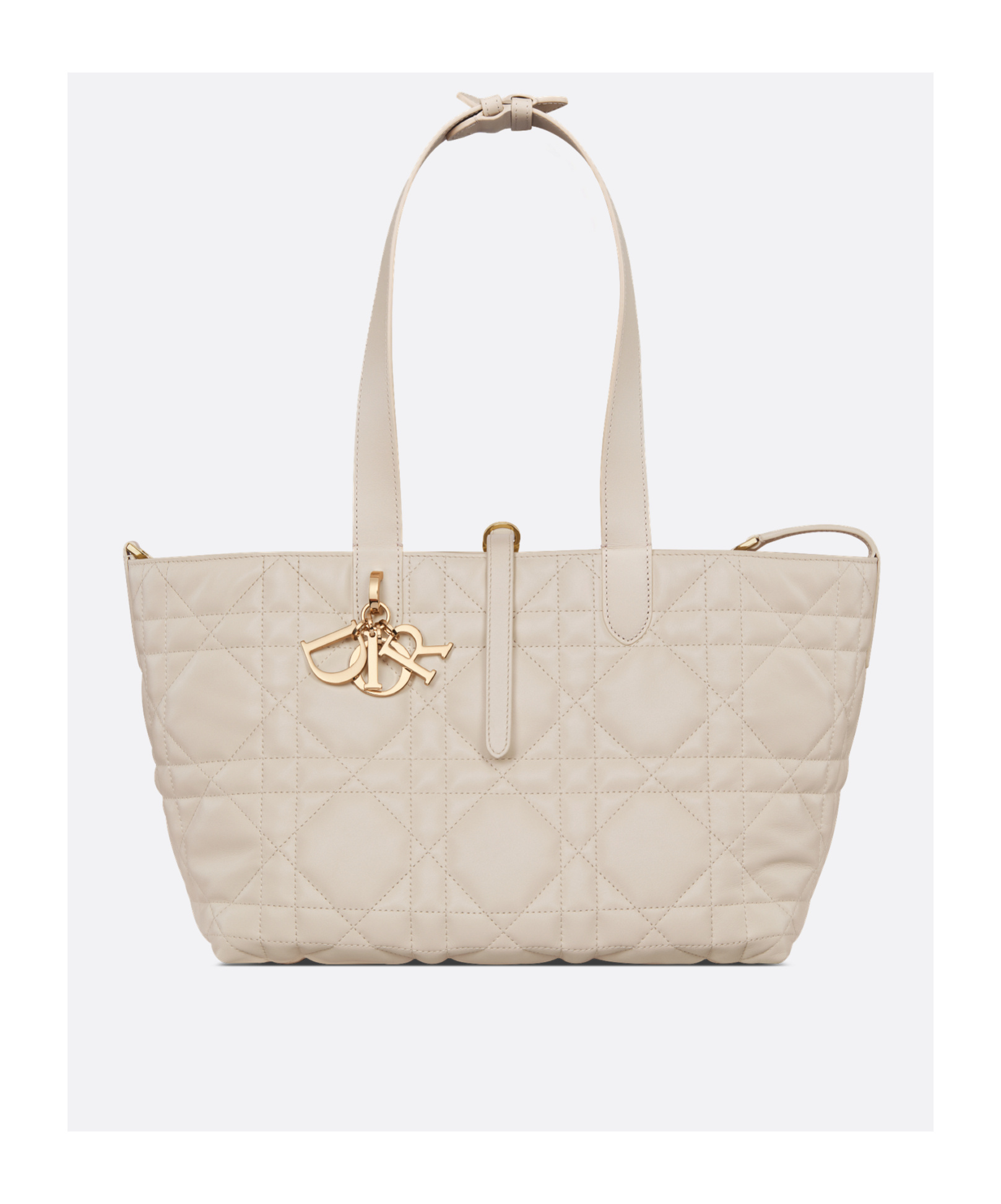 Dior Medium Toujours Shoulder Bag