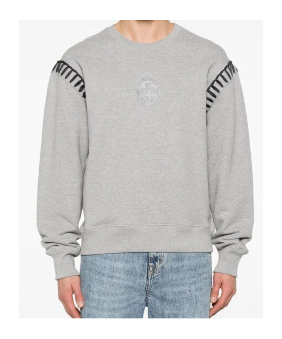 Alexander Mcqueen Skull Sweatshirt In Gray