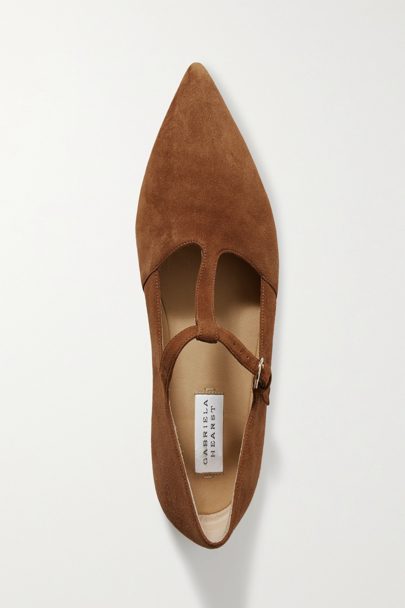 Gabriela Hearst Pointed-toe Flats In Brown