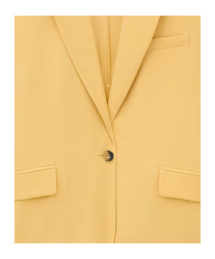 Bash Single Breasted Blazer In Yellow