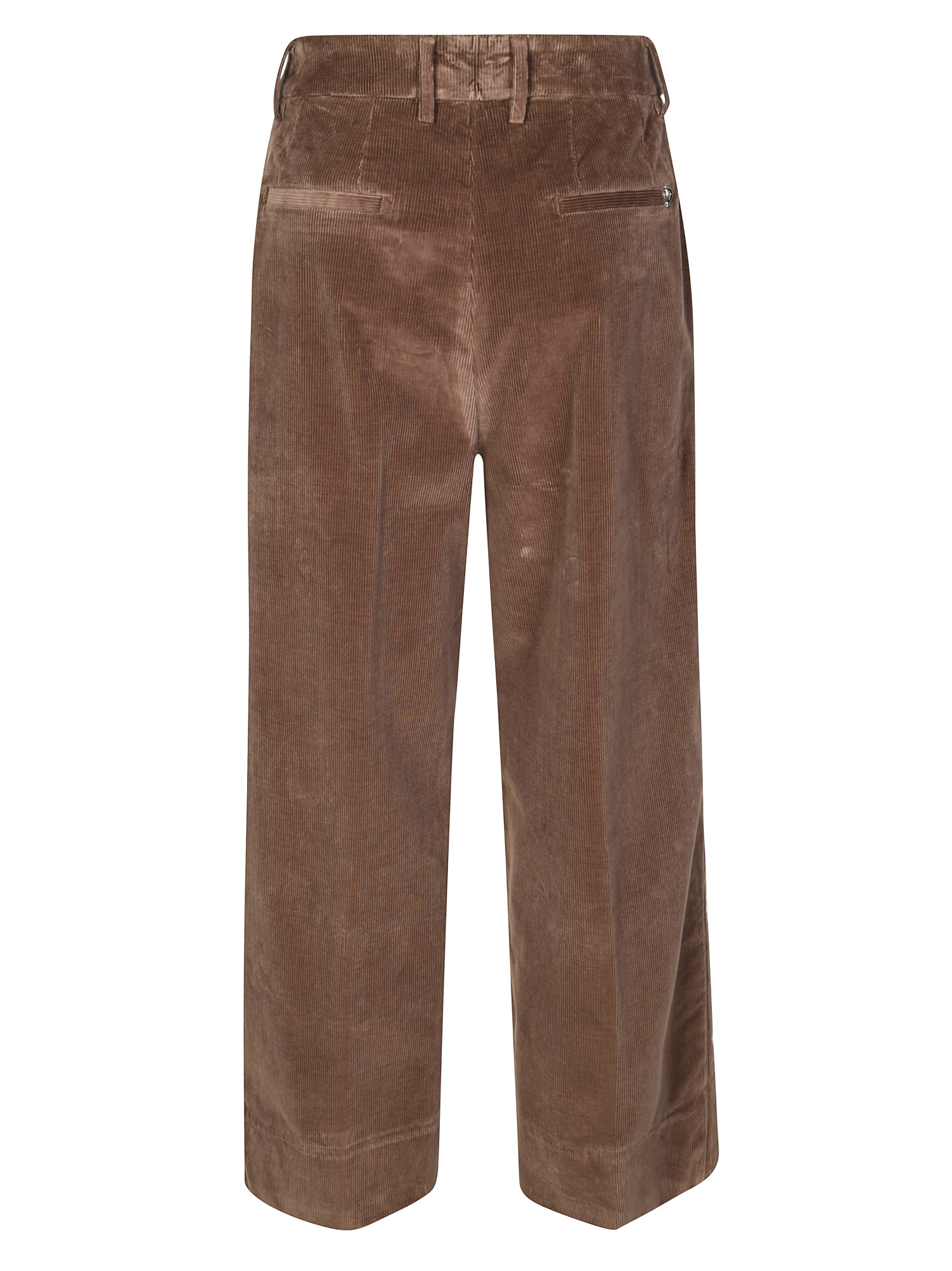 Dondup Eloise Pleated Trousers In Brown
