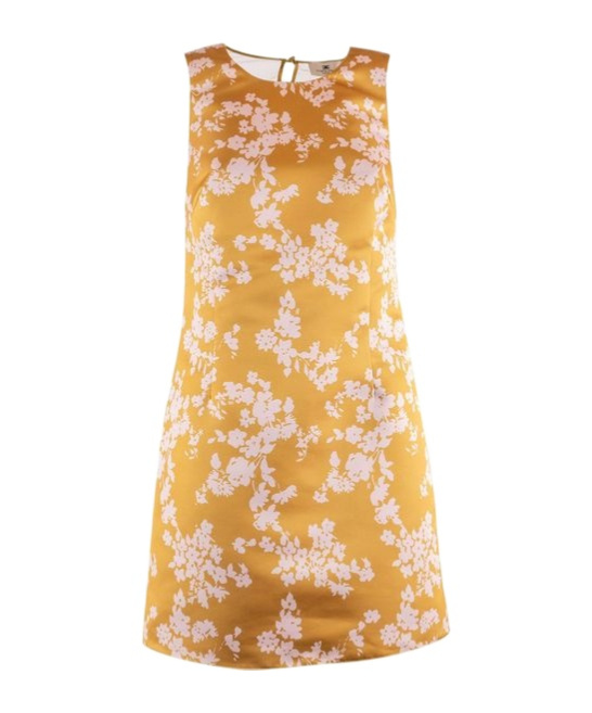 Elisabetta Franchi Floral Printed Sleeveless Dress In Yellow