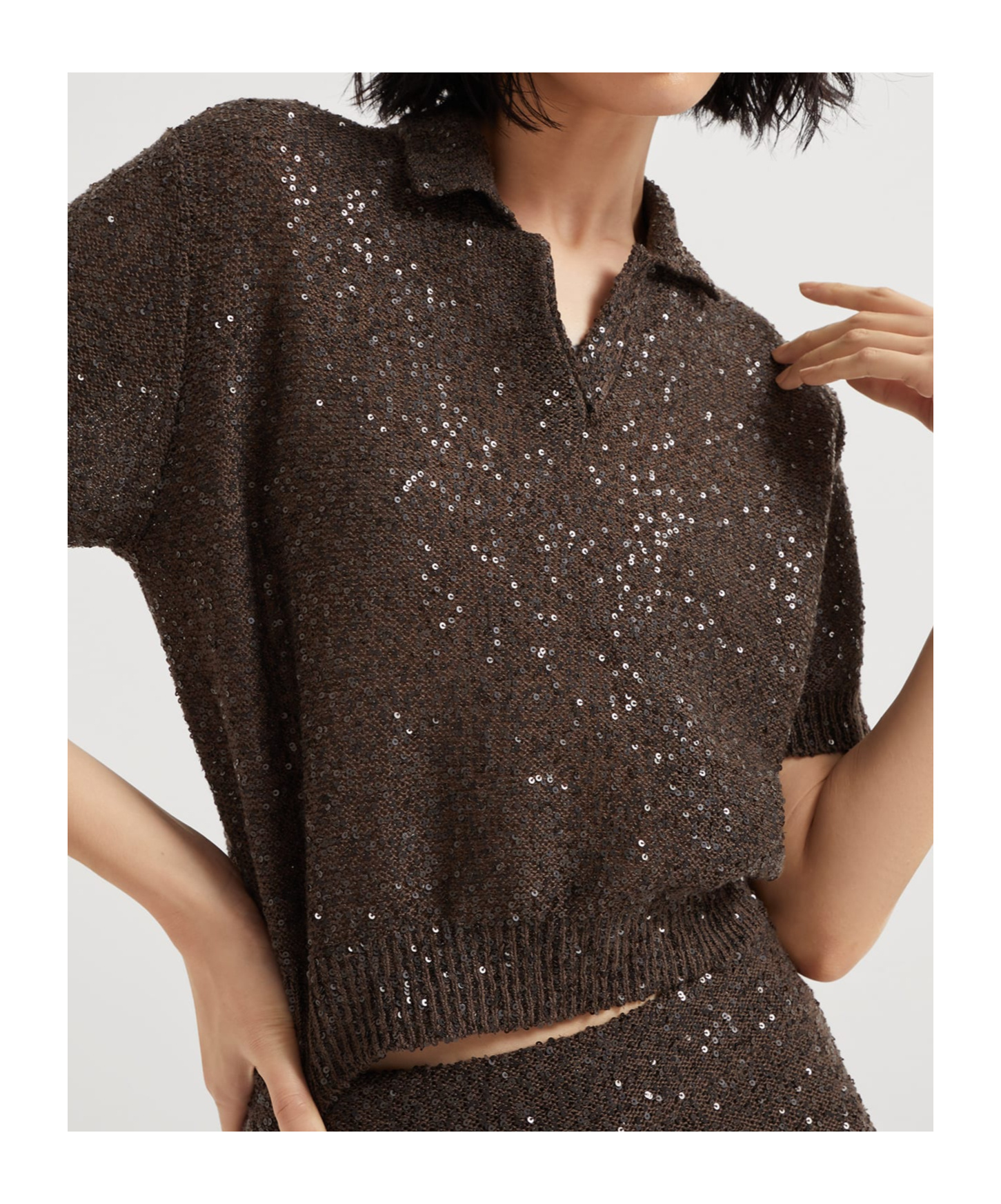 Brunello Cucinelli Dazzling Texture Polo In Brown