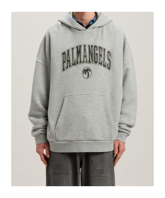 Palm Angels College Palm Logo Printed Hoodie In Gray