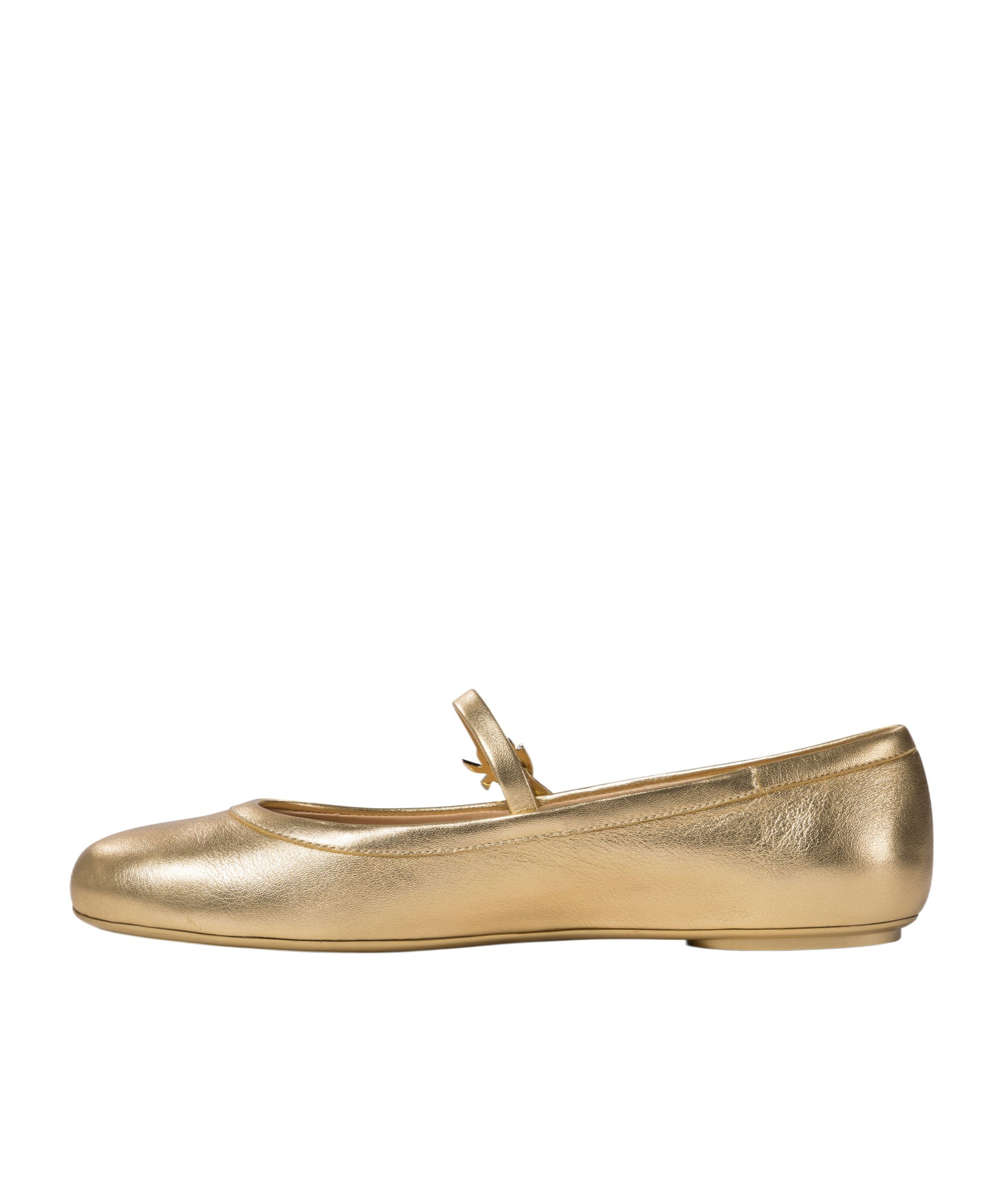 Gianvito Rossi Elegant Ballerina Flats With Ribbon Buckle In Nude