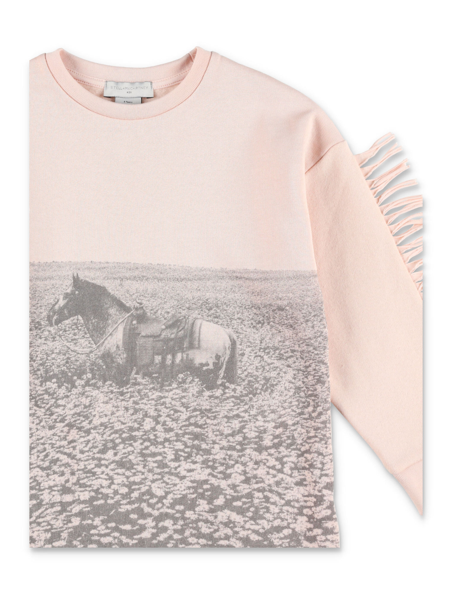 Stella Mccartney Kids Graphic Printed Fringe Detailed Dress In Nude