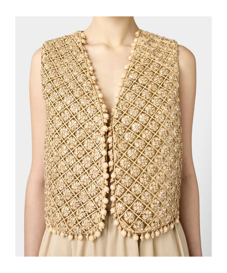 Roger Vivier Waistcoat In Velvet In Brown