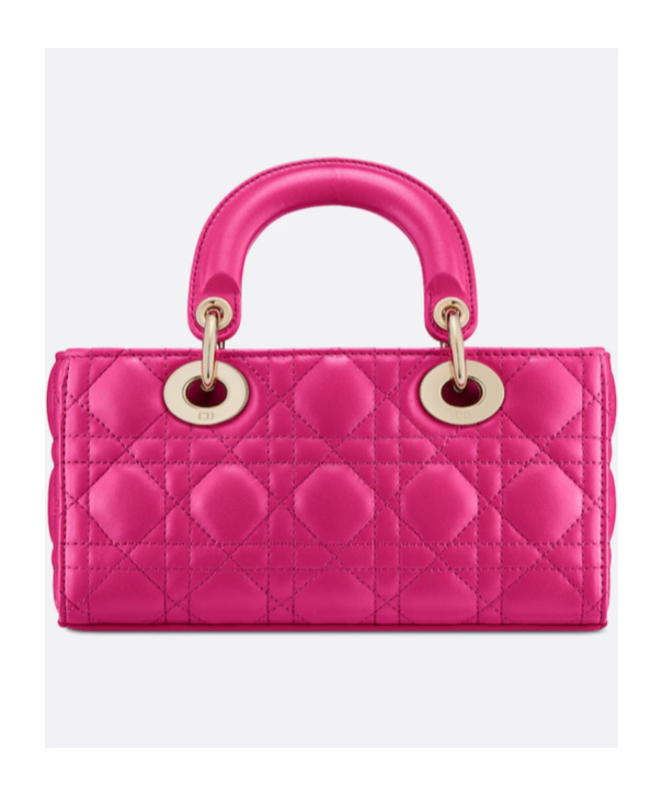 Dior Lady D-joy Small Leather Shoulder Bag In Pink