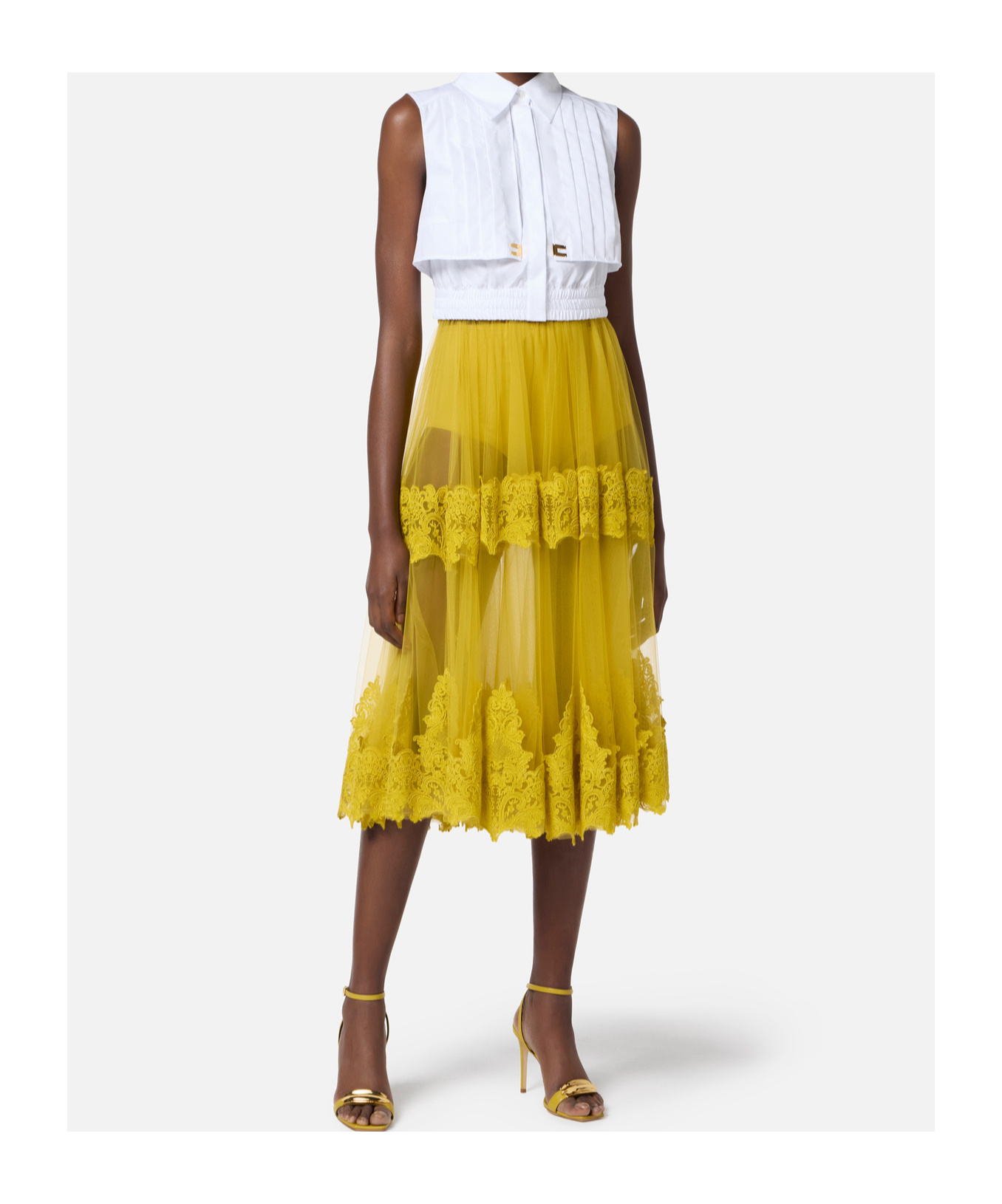 Elisabetta Franchi Tulle Skirt With Lace Decorations In Curry Color