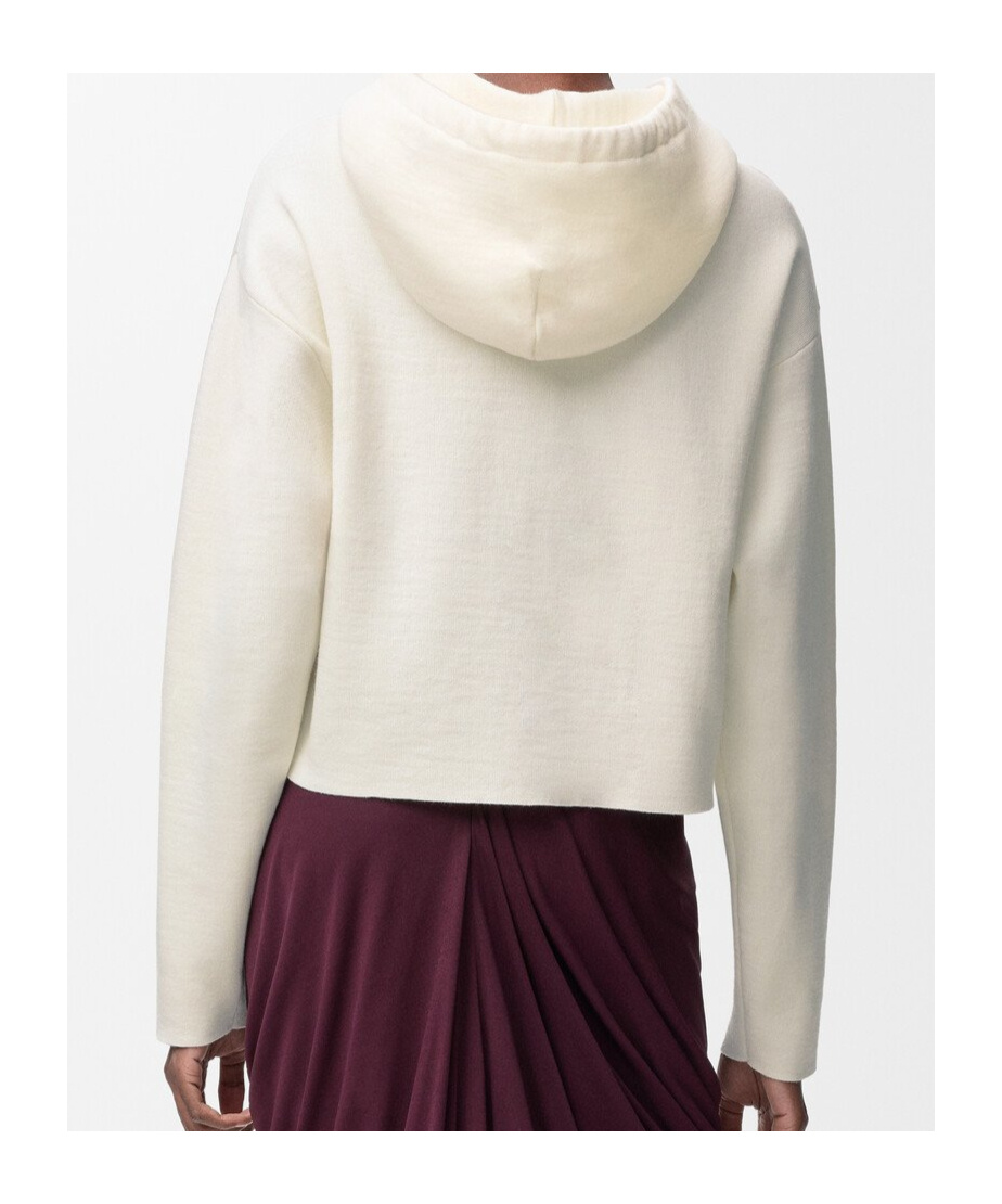 Loewe Zip-up Hoodie In Wool In White