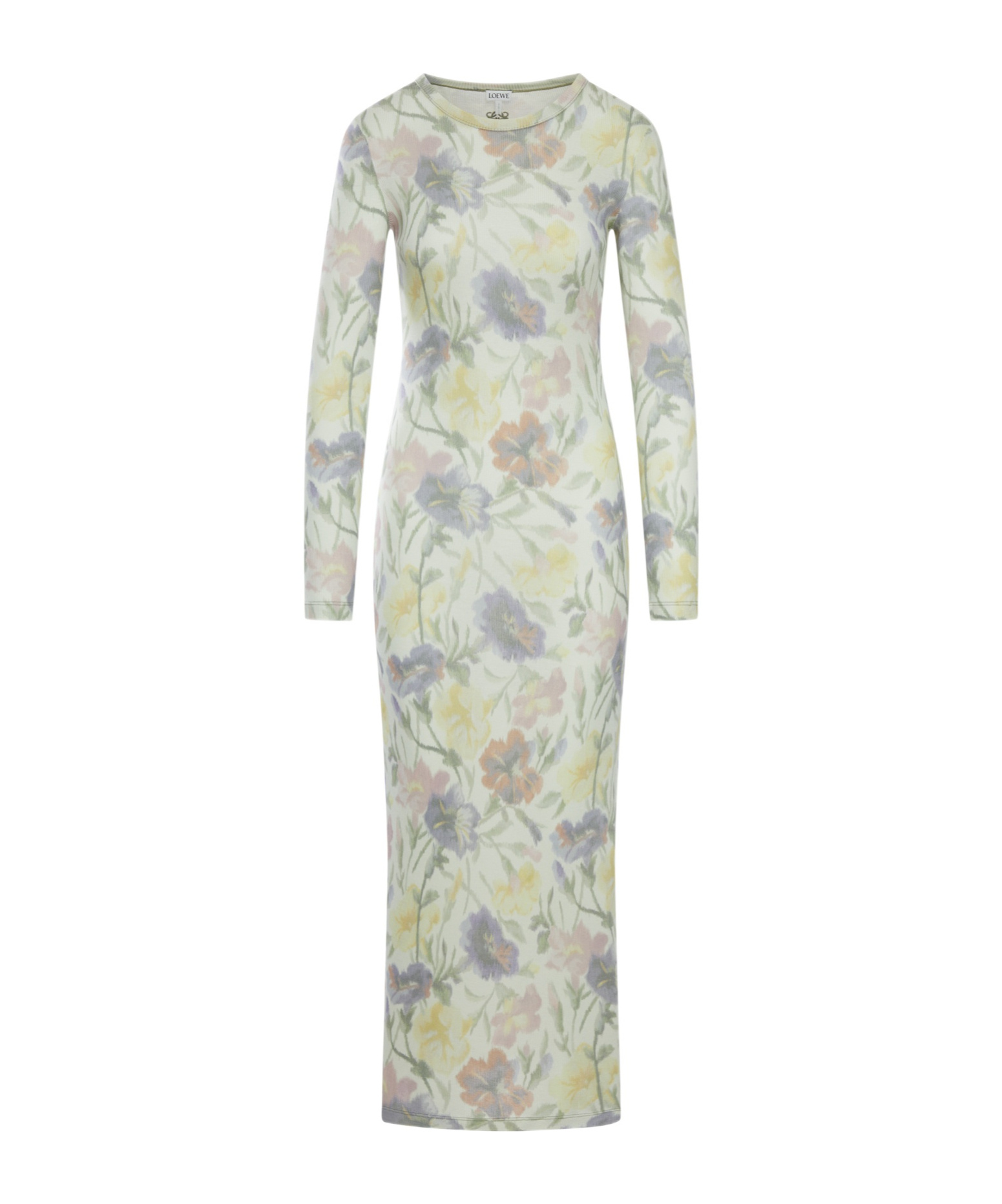 Loewe Women Morning Glory Print Cotton And Silk Multicolor Dress In Gray