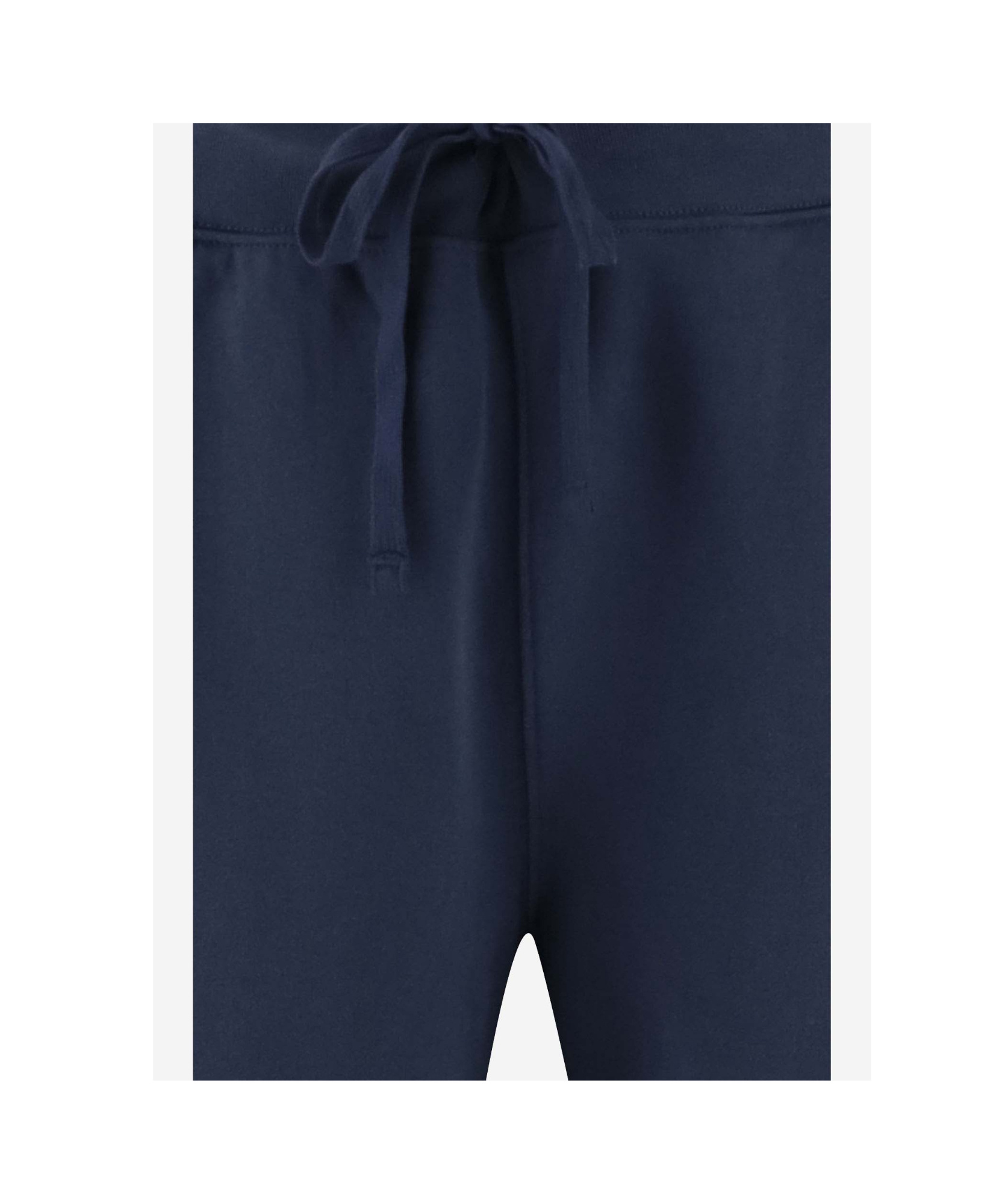 Polo Ralph Lauren Pleated Trousers With Drawstring Waist In Blue