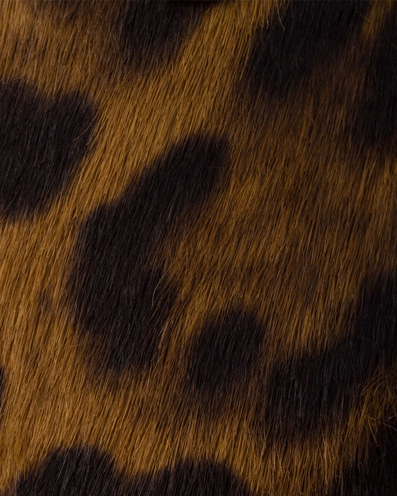 Prada Leopard Print Double Strap Ballet Flats In Animal Print