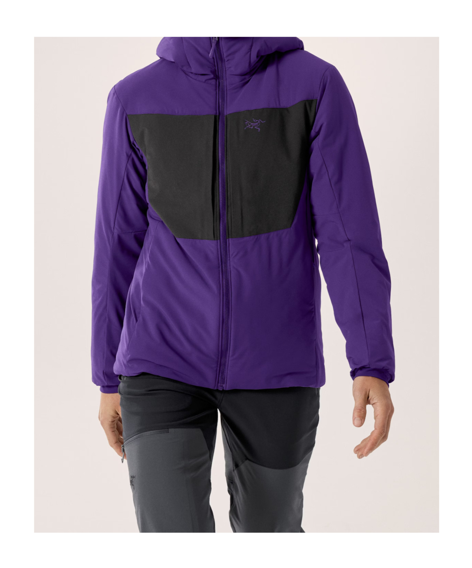 Arc'teryx Proton Heavyweight Hoody Women's In Purple