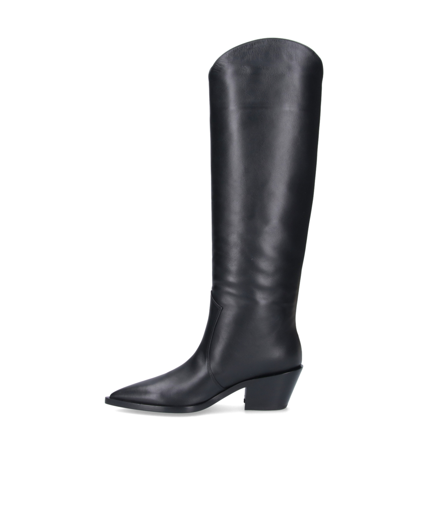 Gianvito Rossi Pointed Boots In Black