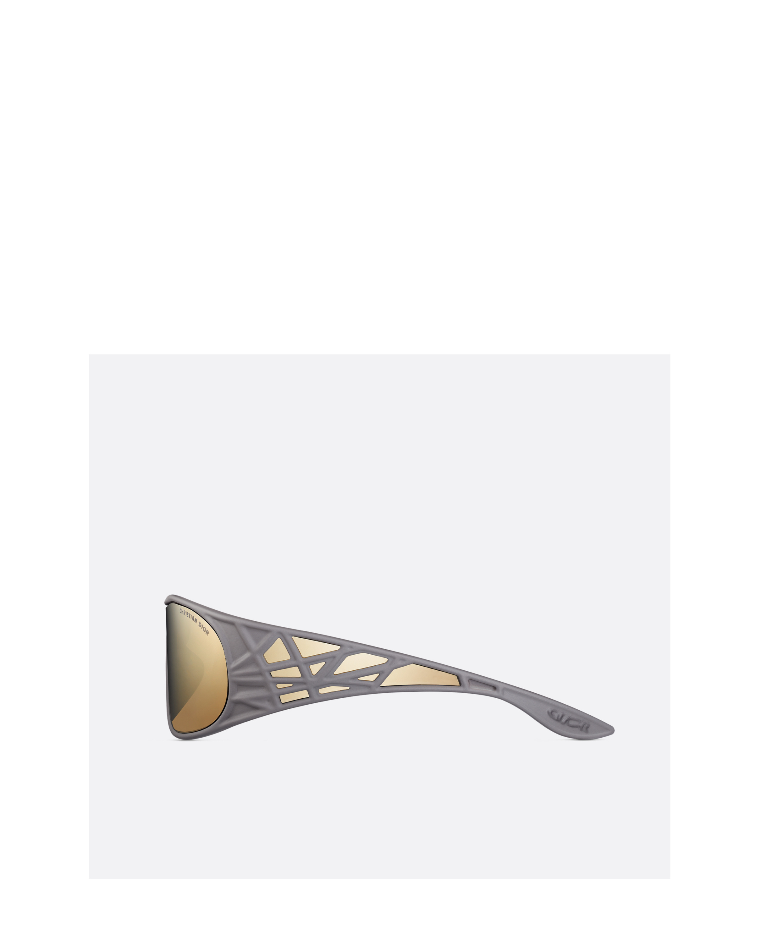 Dior Logo Sunglasses In Nude