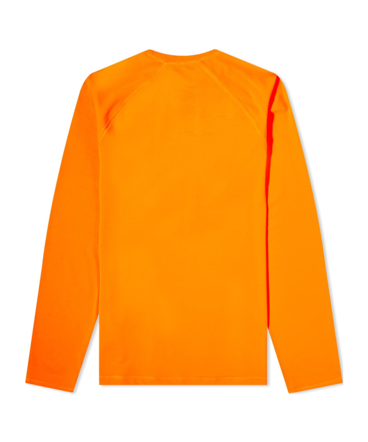 THE NORTH FACE THE NORTH FACE X ONLINE CERAMICS LONG-SLEEVED CREWNECK T-SHIRT